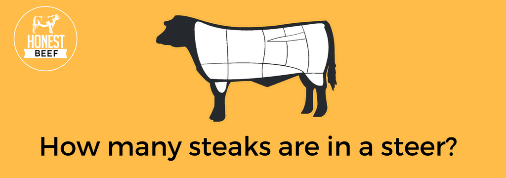 How many steaks are in a steer?