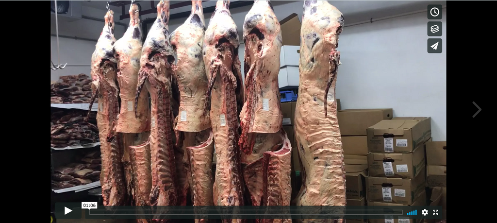 Meet Your Butchers