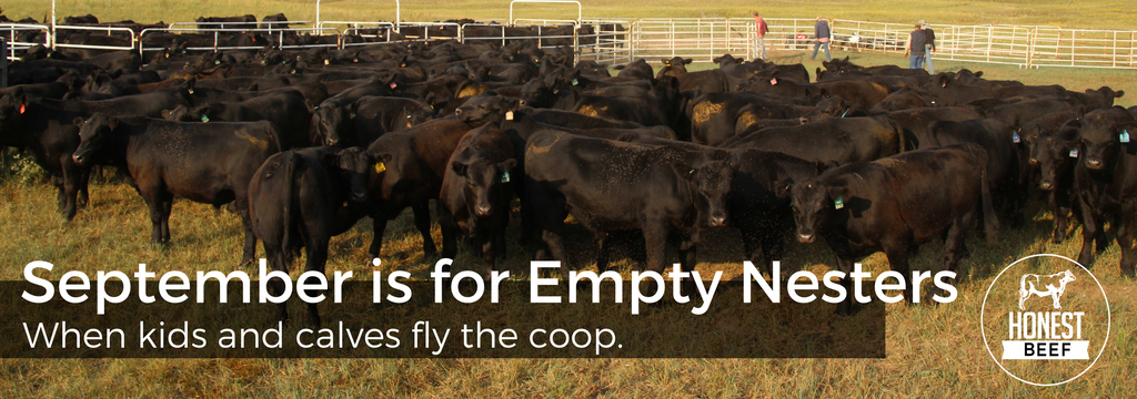 Honest Beef Blog: September is for Empty Nesters