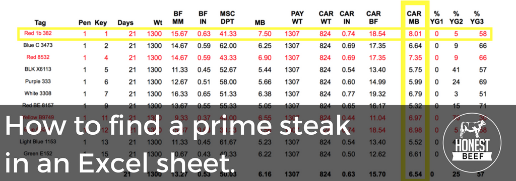 Honest Beef - how to find a prime steak in an Excel sheet